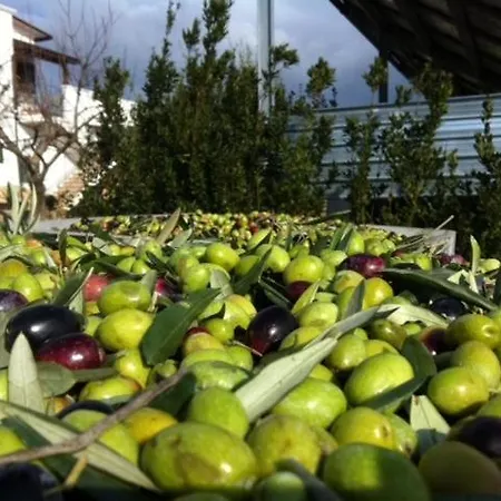 Gospodarstwo wiejskie Biologico Sant'andrea Castellaneta Marina