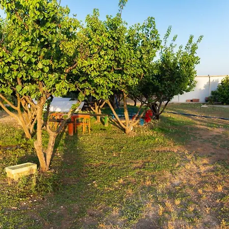 Biologico Sant'andrea Gospodarstwo wiejskie Castellaneta Marina