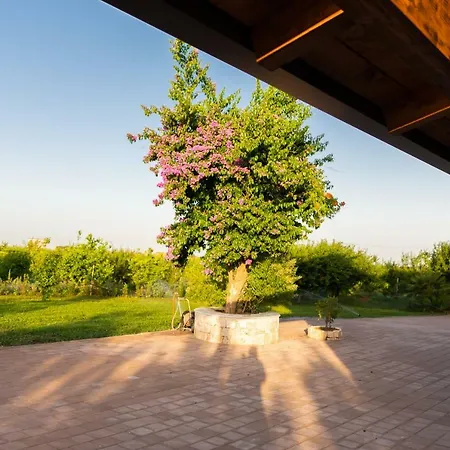 Country house Biologico Sant'andrea *